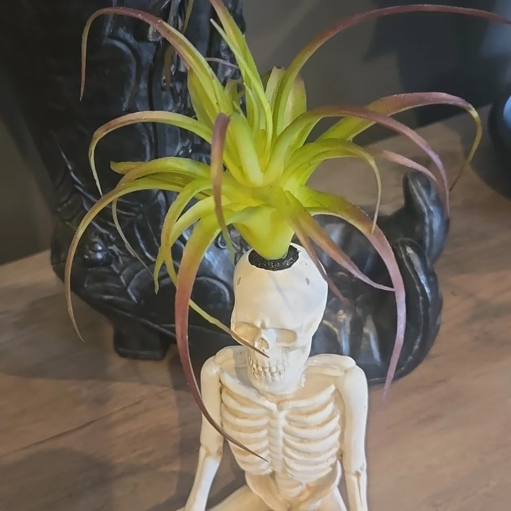 Skeleton Faux Air Plant